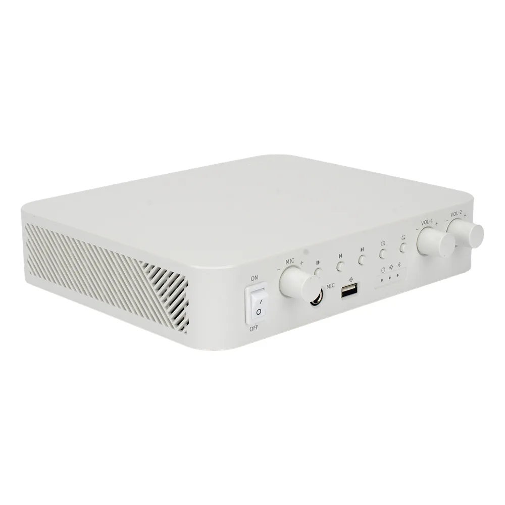 Amplificador | Bluetooth | 2 Canales con Control de volumen Independiente | 30 W por Canal | Salida 4-8 ohms x 2 | 100V COM x 2 | Una Zona | Música Ambiental