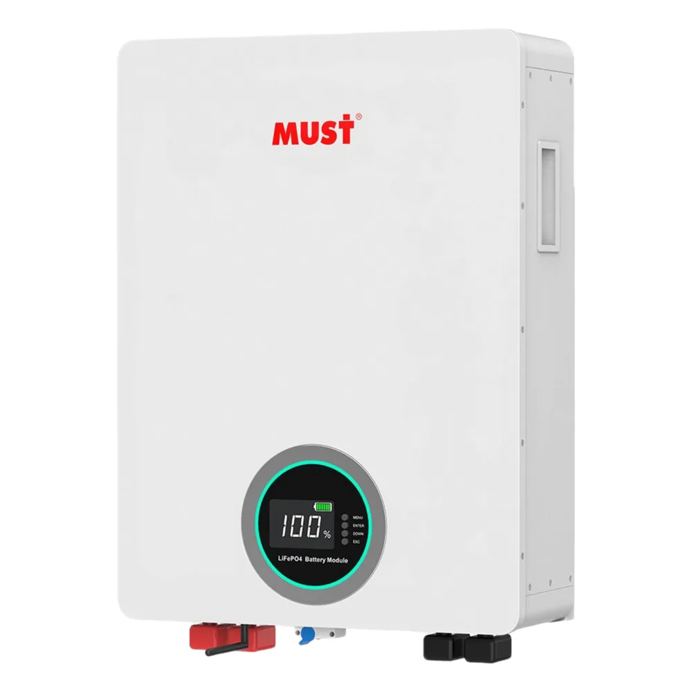 Batería de Litio LiFePO4 / 51.2 Vcc / 100 Ah / 5.12 kWh / 6000 Ciclos / BMS Integrado / Comunicación CAN-RS485-WiFi