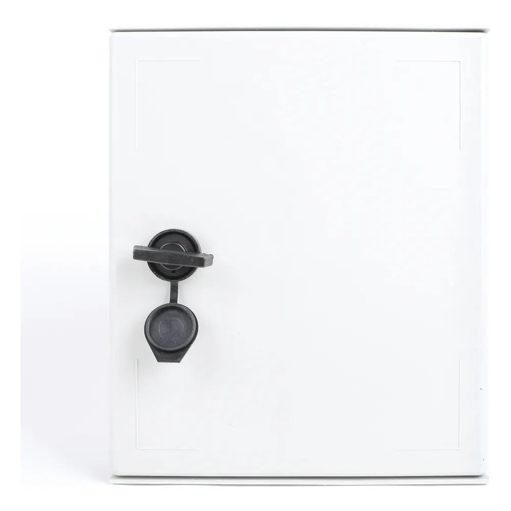 Gabinete de Poliéster IP65 Uso en Intemperie (250 x 300 x 140 mm) con Placa Trasera Interior de Plástico (Incluye Chapa y Llave). – vista 7