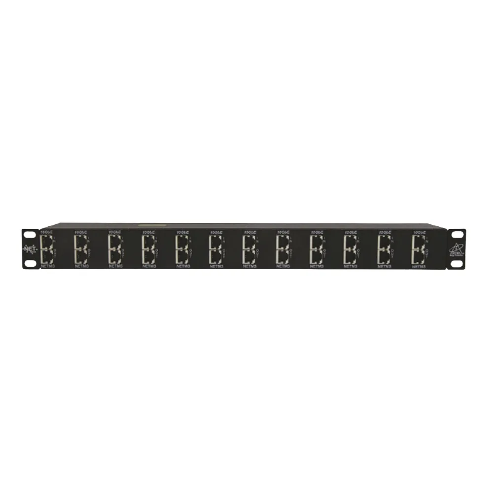 Protector Rack 12 Puertos / RJ45 / 10 GbE / PoE y PoE+ / CAT5e CAT6 CAT6A