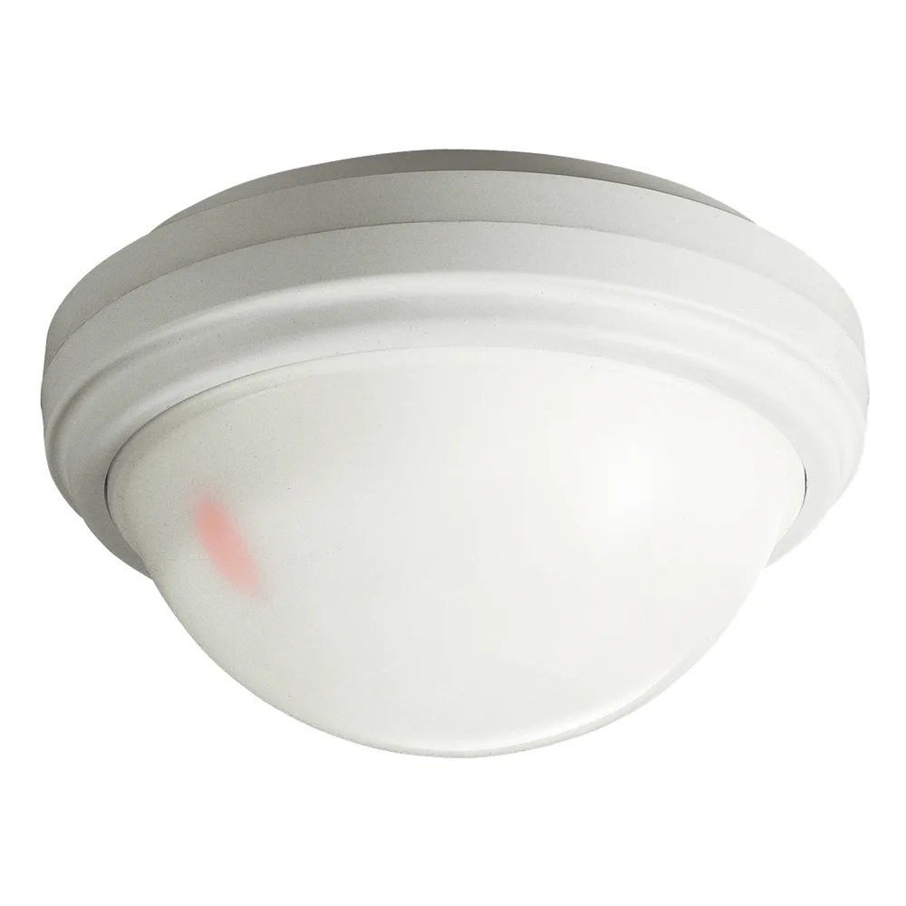 Sensor de movimiento / 360° De detección / Función de Zoom / Montado en techo