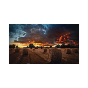 Pantalla Profesional LED de 55″ para Video Wall, Full HD (1080p), HDMI/DVI-D/DP, Bisel Ultra Delgado de 2.3mm. Compatible VESA